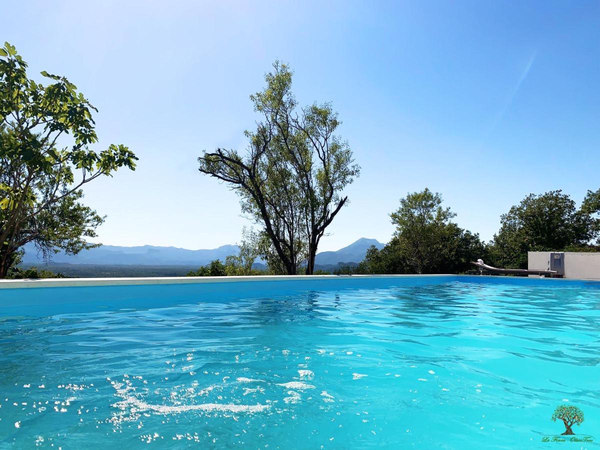 La Finca Olivetree Katuni Экстерьер фото
