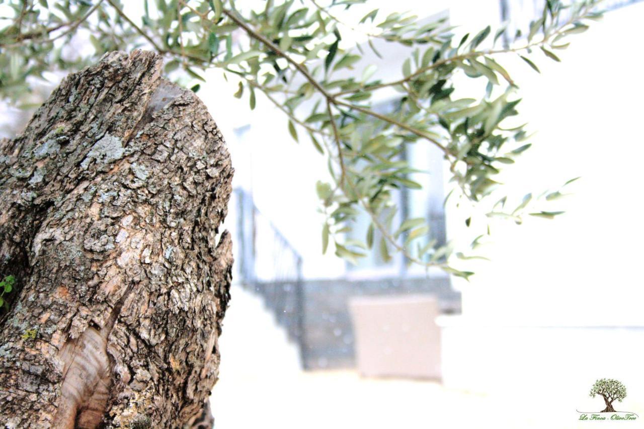 La Finca Olivetree Katuni Экстерьер фото